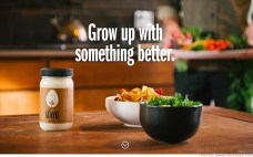 141219105553-just-mayo-620xa