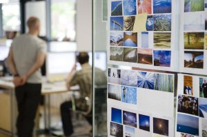 3341418764_29126fa663_b