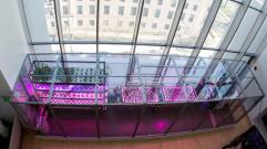 3047980-inline-i-1-this-desktop-farm-is-like-a-3-d-printer-for-food